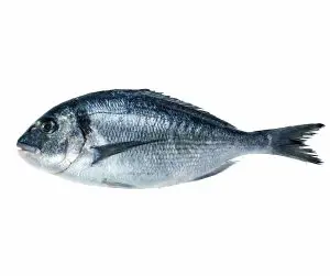 dorade happy fish island